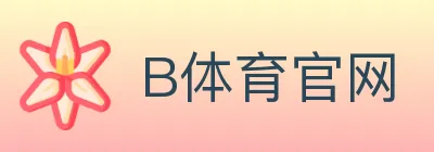 B体育官网 Logo